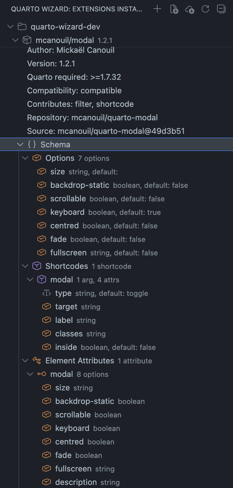 Schema Node with Grouped Sections An expanded extension showing a Schema node with grouped sections for Options, Shortcodes, Formats, and Element Attributes, each listing their fields and types.
