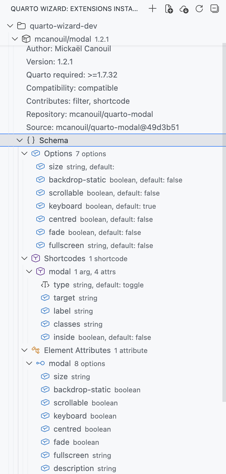 Schema Node with Grouped Sections An expanded extension showing a Schema node with grouped sections for Options, Shortcodes, Formats, and Element Attributes, each listing their fields and types.